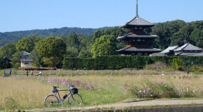 ゆるゆるCC「ミニベロオフ法起寺コスモスライド」(前半)